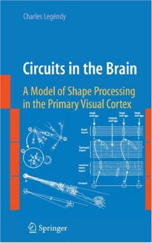 Circuits in the Brain: A Model of Shape Processing in the Primary Visual Cortex