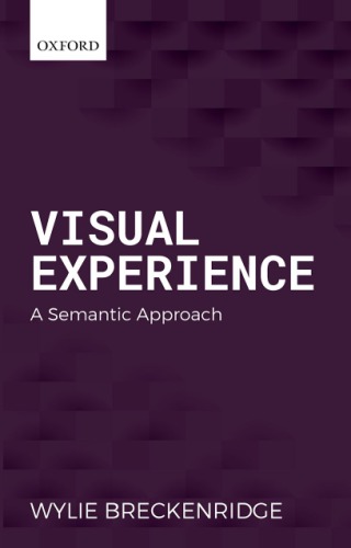 Visual Experience: A Semantic Approach