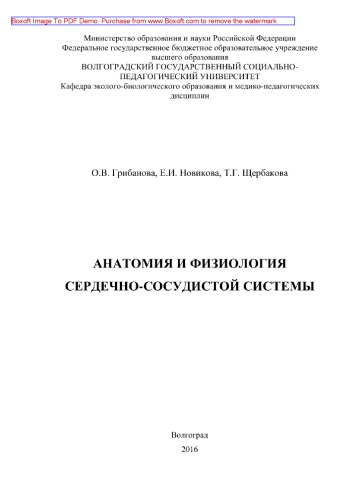 Анатомия и физиология сердечно-сосудистой системы. Учебное пособие