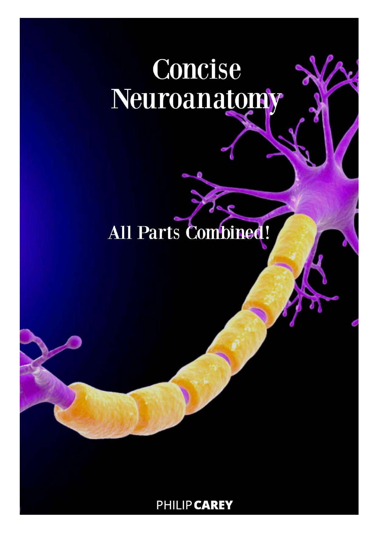 Concise Neuroanatomy