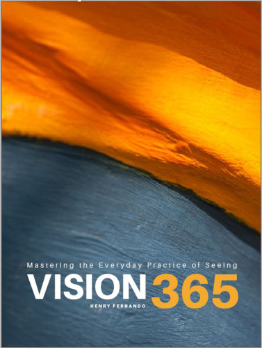 Vision 365: Mastering the Everyday Practice of Seeing