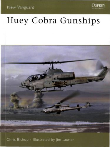 HueyCobra Gunships