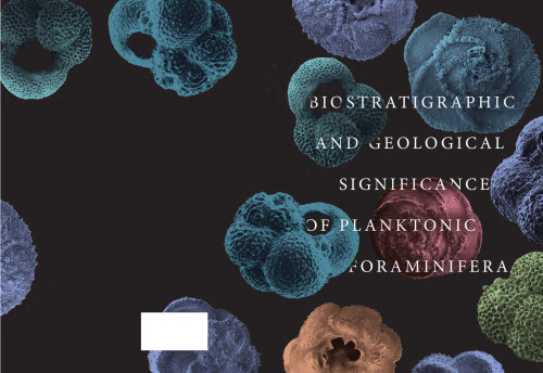 Biostratigraphic and Geological Significance of Planktonic Foraminifera
