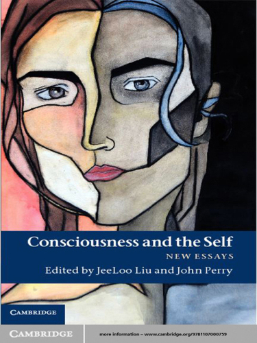 Consciousness and the Self: New Essays