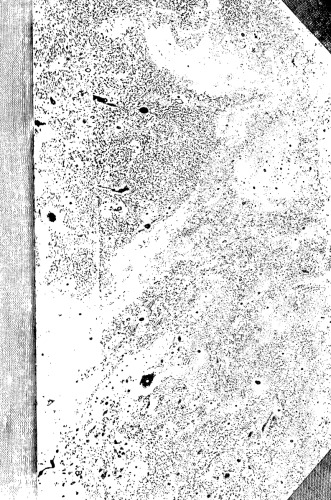 Chemia analityczna pierwiastków rzadkich