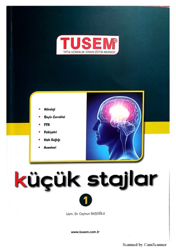 Küçük stajlar