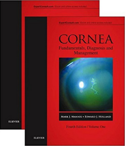 Cornea