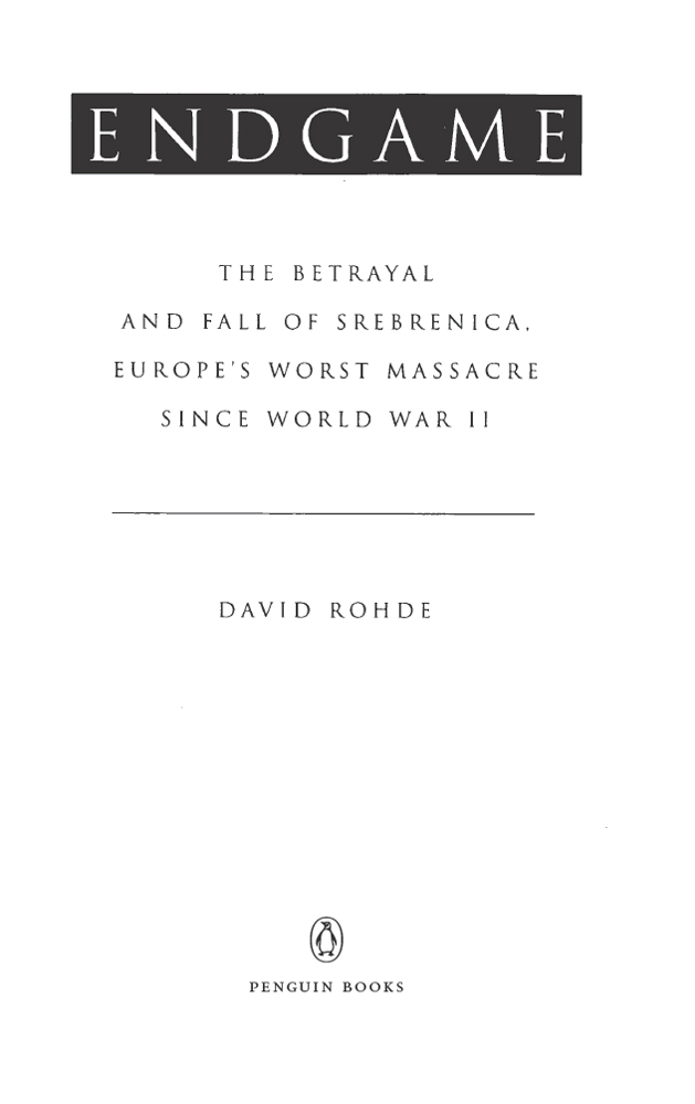 Endgame. The Betrayal and Fall of Srebrenica