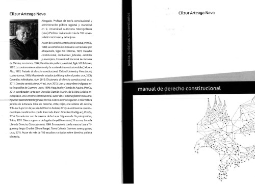 Manual de derecho constitucional