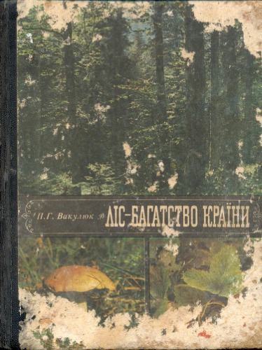 Ліс — багатство країни