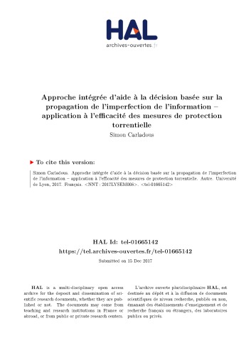 Approche intégrée d’aide à la décision basée sur la propagation de l’imperfection de l’information – application à l’efficacité des mesures de protection torrentielle