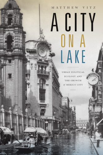 A city on a lake: urban political ecology and the growth of Mexico City
