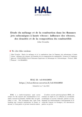 Etude du mélange et de la combustion dans les flammes jets subsoniques à haute vitesse : influence des vitesses, des densités et de la composition du combustible
