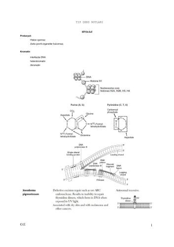 Oytun Erbaşın Ders Notları