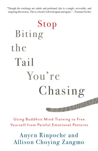 Stop biting the tail you’re chasing : using Buddhist mind training to free yourself from painful emotional patterns