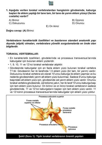 2017 Eylül Yaz Dönemi Denemeleri