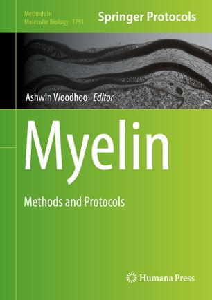 Myelin