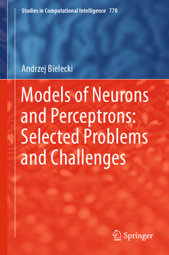 Models of Neurons and Perceptrons: Selected Problems and Challenges