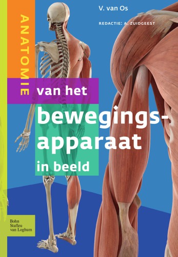 Anatomie van het bewegingsapparaat in beeld