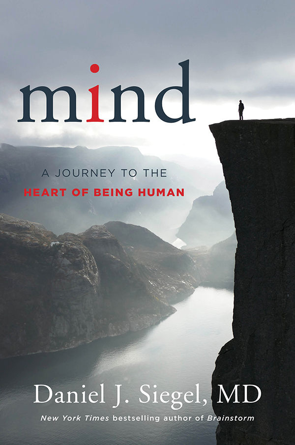 Mind: A Journey to the Heart of Being Human