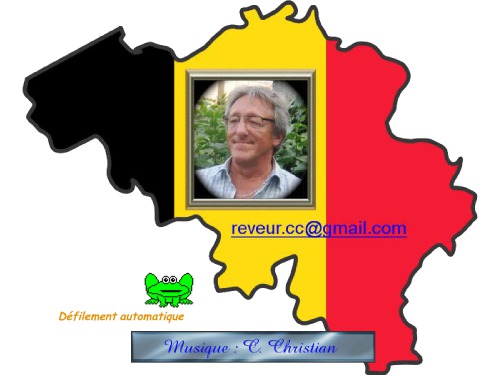 Bruxelles Brussel Tour Guide