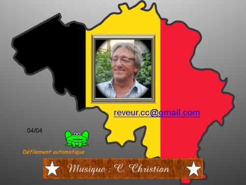 Bruxelles Brussel Tour Guide