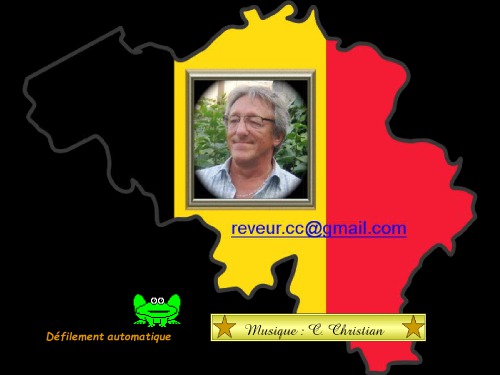 Bruxelles Brussel Tour Guide