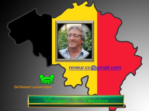 Bruxelles Brussel Tour Guide