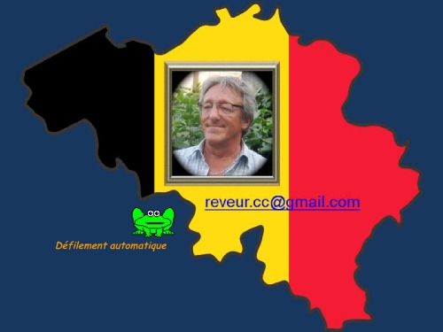 Bruxelles Brussel Tour Guide