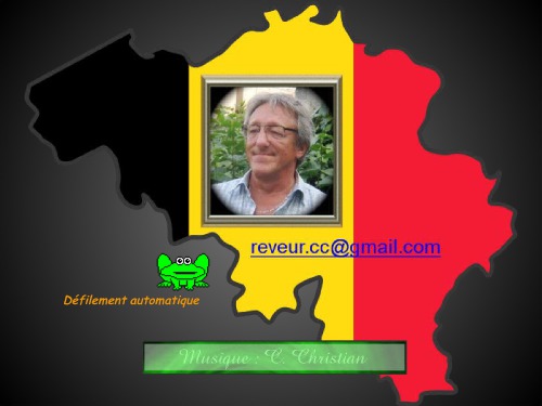 Bruxelles Brussel Tour Guide