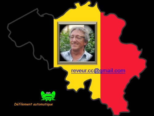 Bruxelles Brussel Tour Guide