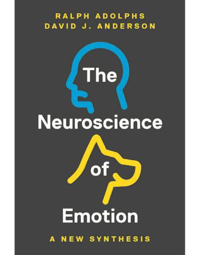 The Neuroscience of Emotion: A New Synthesis