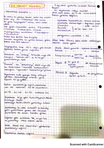 Mikrobiyoloji Güncel Vurguladığı Yerler