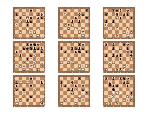 Combination & tactics. Tom 2