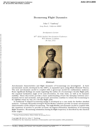 Boomerang Flight Dynamics