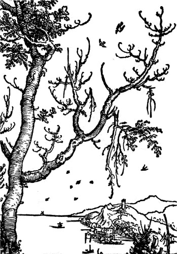 Ritter, Tod und Teufel d. Leben d. Albrecht Dürer