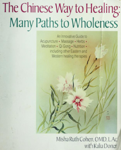 The Chinese Way to Healing: Many Paths to Wholeness