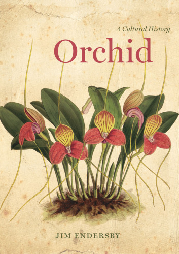 Orchid: A Cultural History