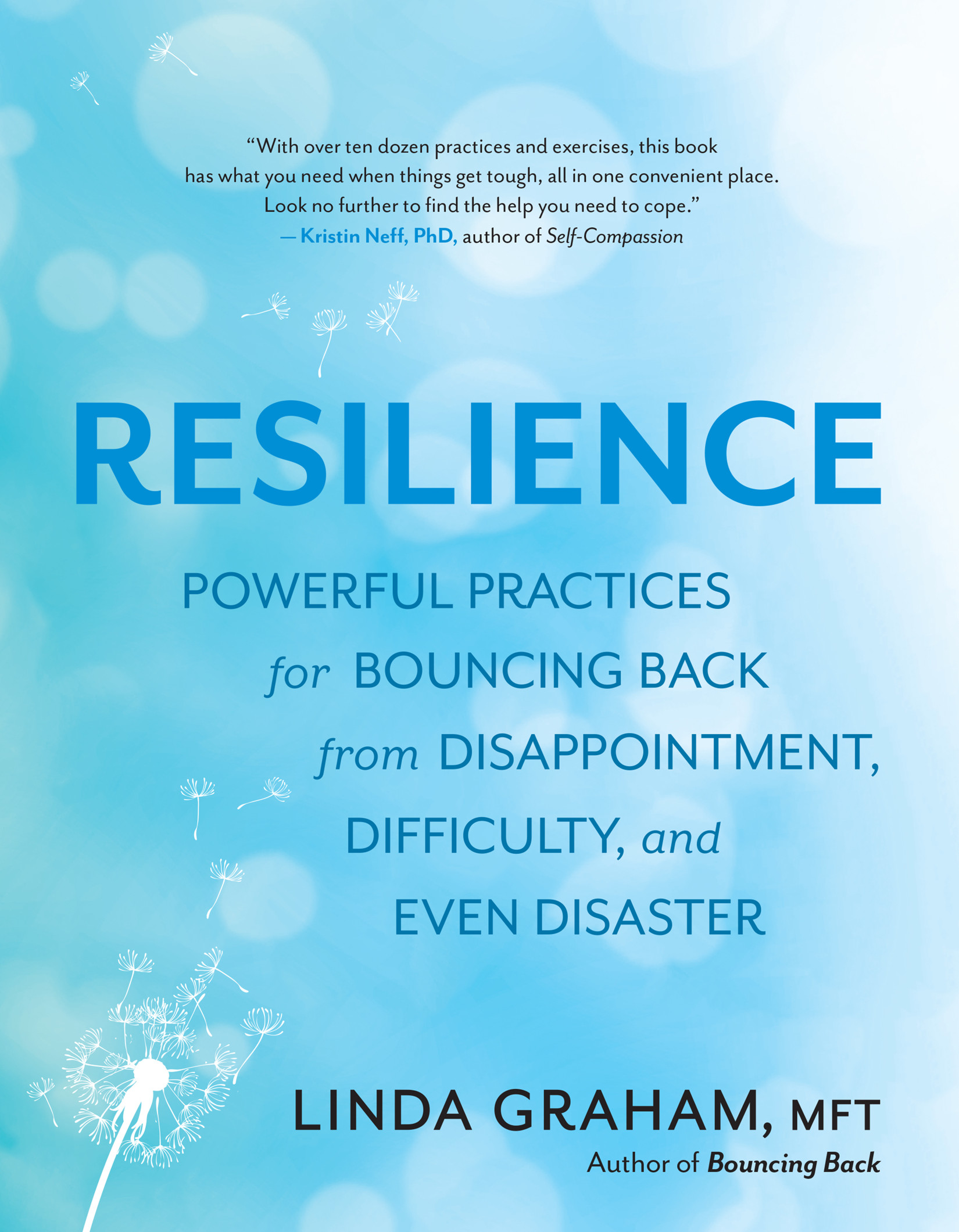 Resilience: Powerful Practices for Bouncing Back from Disappointment, Difficulty, and even Disaster