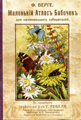 Маленький атлас бабочек