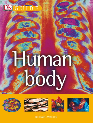 Human Body (Dk Guide)