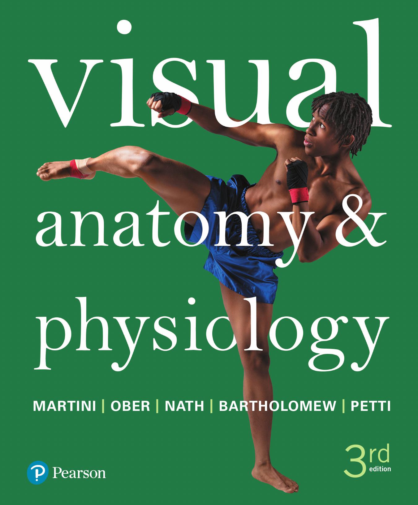 Visual Anatomy & Physiology