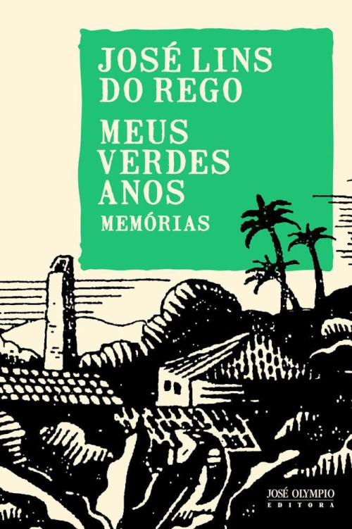Meus verdes anos: memórias