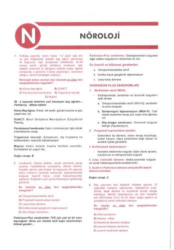 SORU KİTABI SERİSİ KÜÇÜK STAJLAR