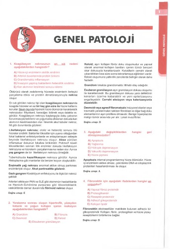 SORU KİTABI SERİSİ PATOLOJİ