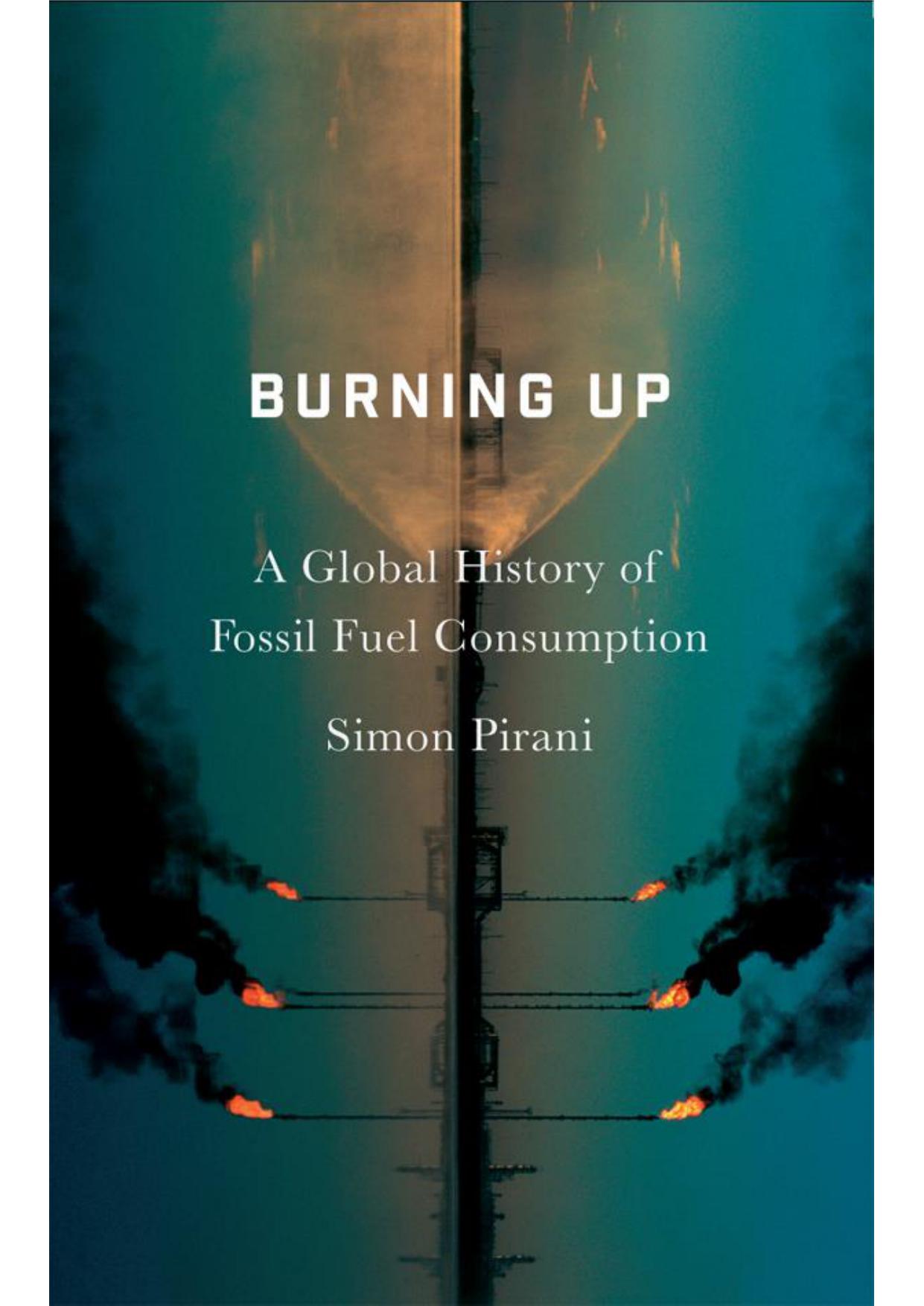 Burning Up: A Global History of Fossil Fuel Consumption
 ISBN 978 1 7868 0312 2
