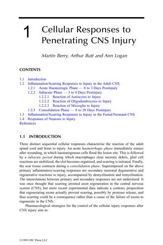 CNS Injuries: Cellular Responses and Pharmacological Strategies