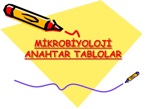 Mikrobiyoloji Anahtar Tablolar