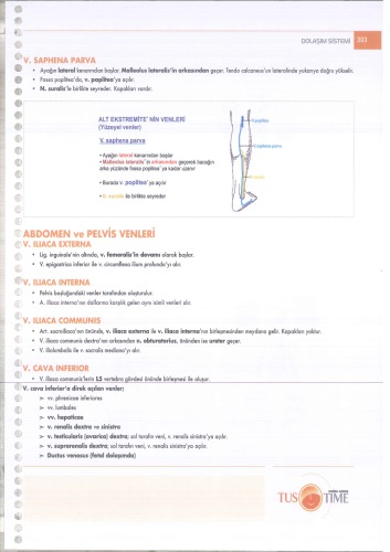 İnfotus Anatomi Konu Kitabı
