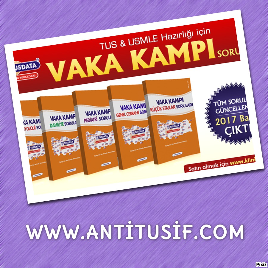 Vaka Kampı Soruları